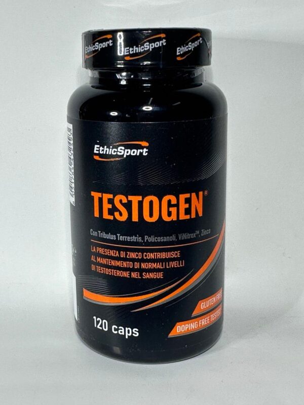Testogen Тестоген (120 табл)